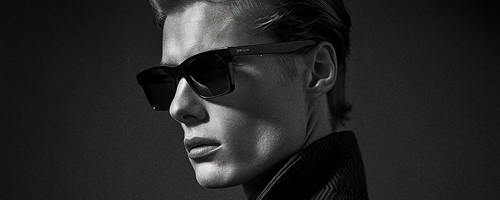 Wayfarer Sunglasses
