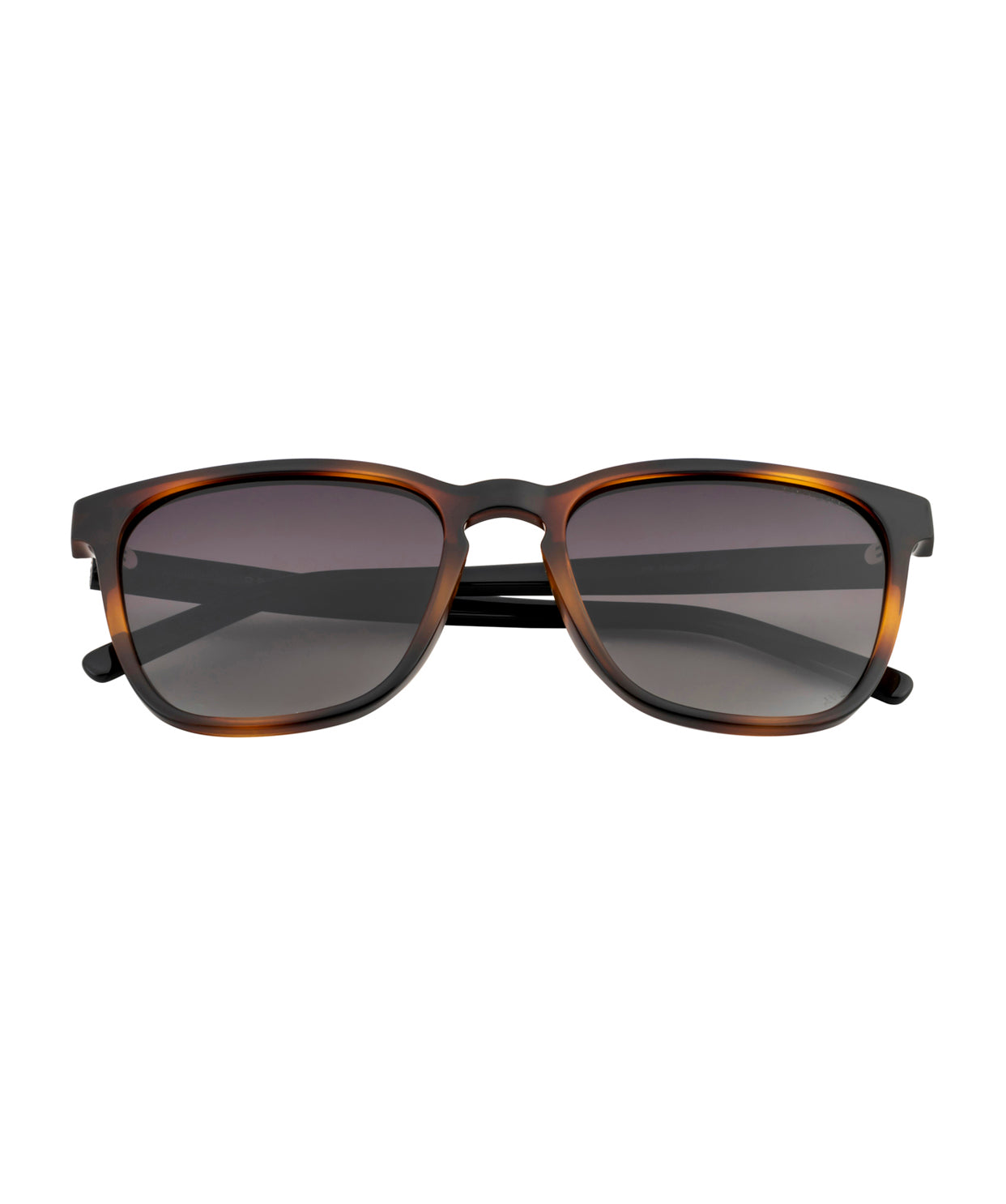 solflare tortoise brown