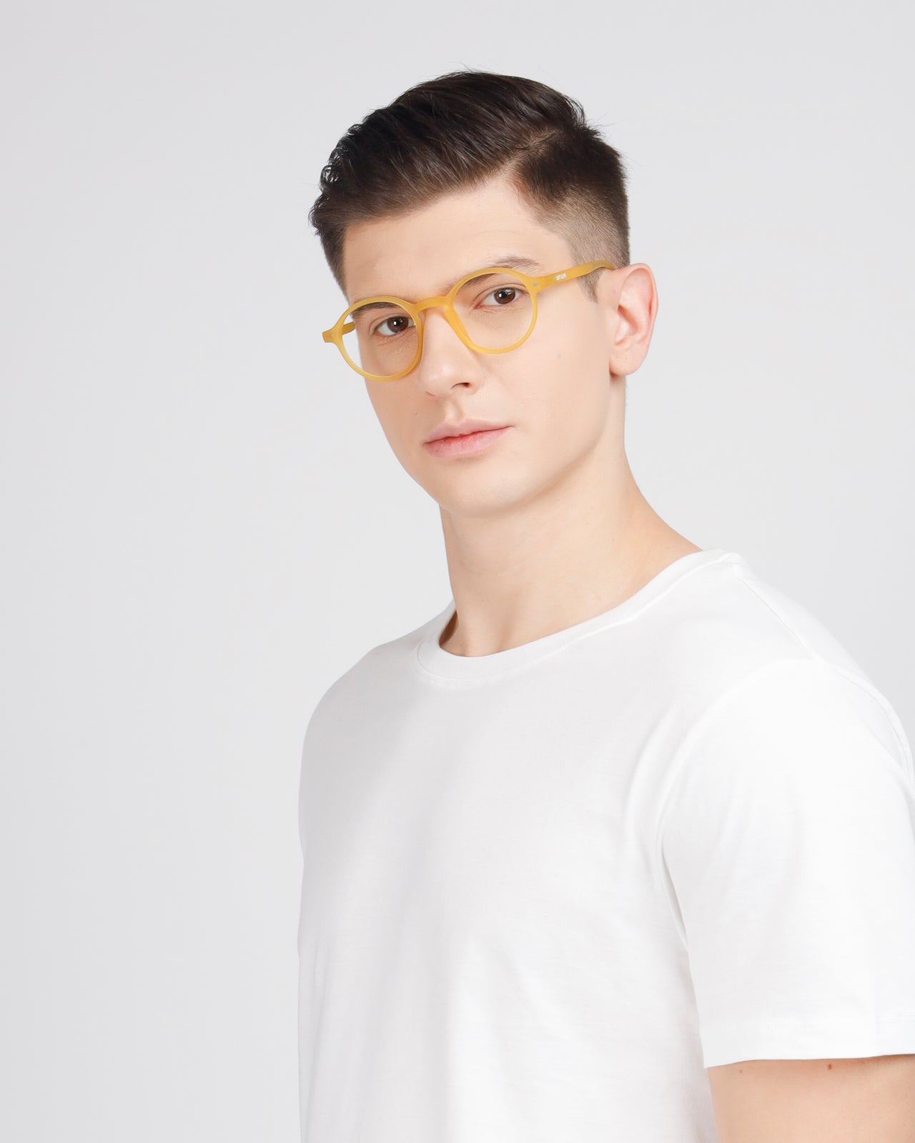 daffodil yellow op 2568 c13 47