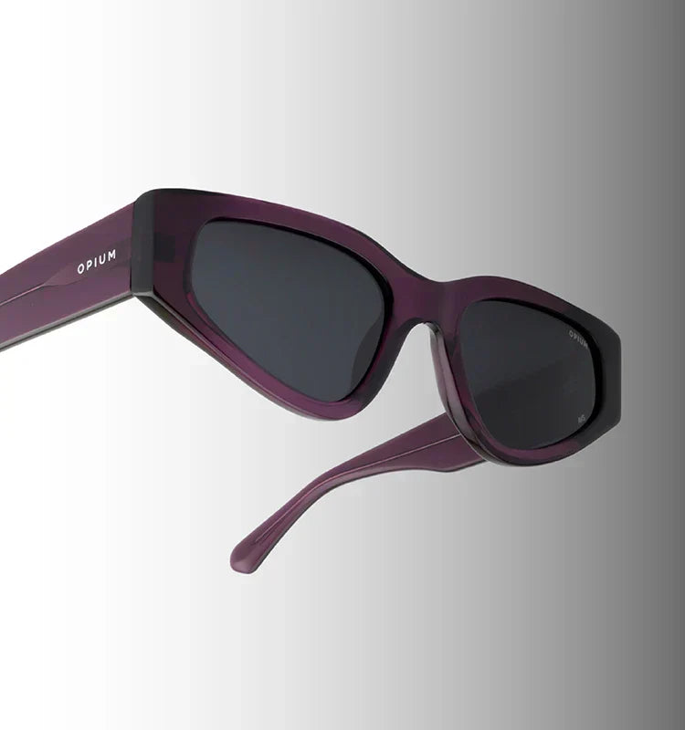 Sunglasses Brands