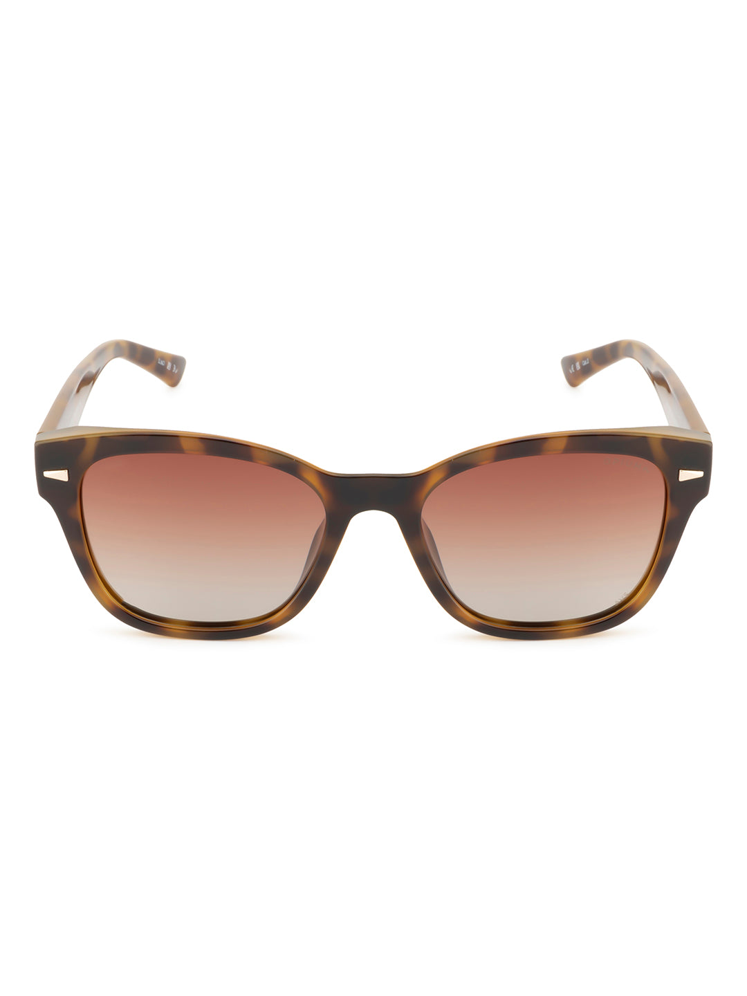op 10298 c02 53 giovanni brown women