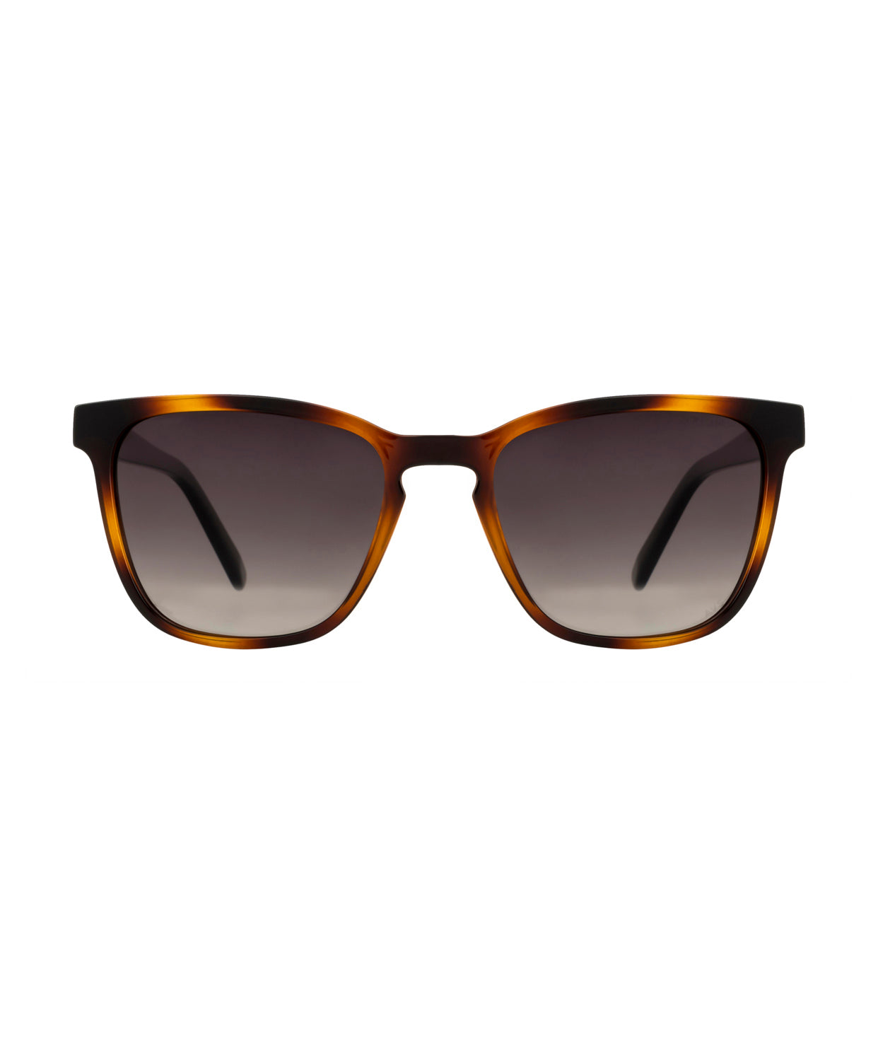 solflare tortoise brown