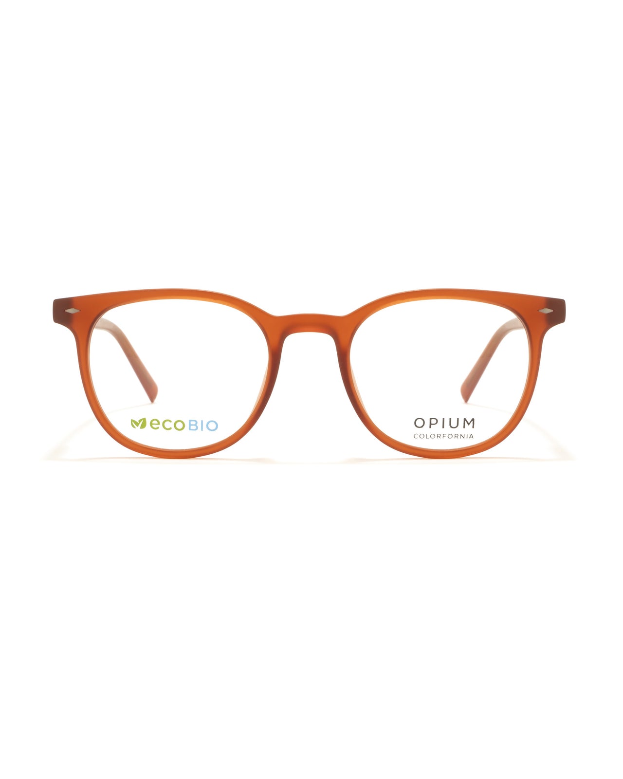 citrus orange op 2567 c15 48